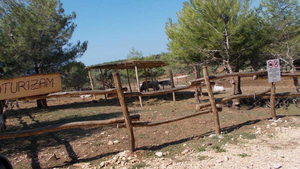 Guest House Accommodation Rupine بريمونتيرا المظهر الخارجي الصورة