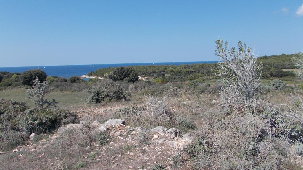 Guest House Accommodation Rupine بريمونتيرا المظهر الخارجي الصورة