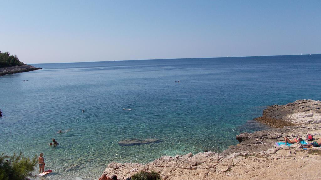 Guest House Accommodation Rupine بريمونتيرا المظهر الخارجي الصورة
