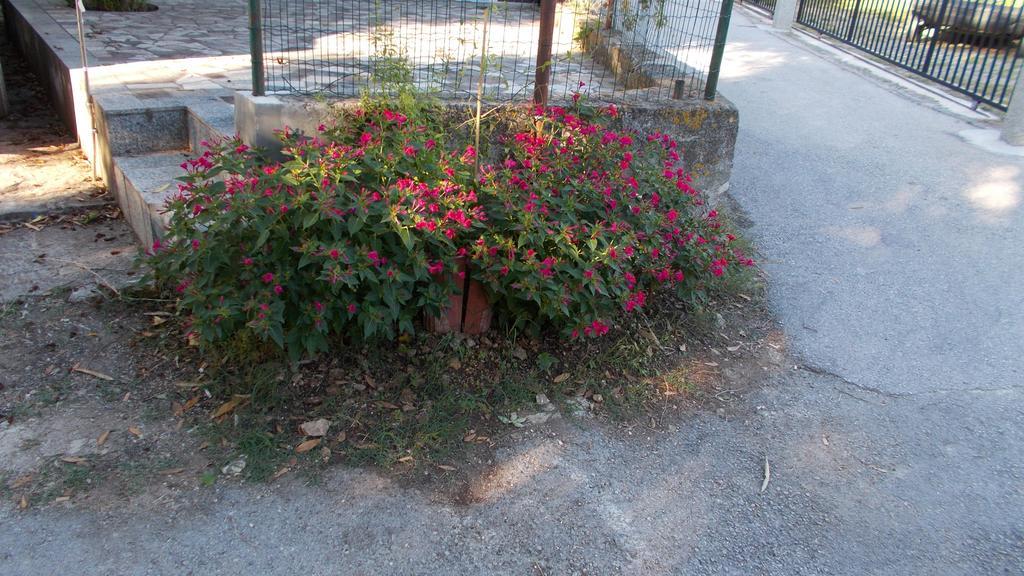Guest House Accommodation Rupine بريمونتيرا المظهر الخارجي الصورة