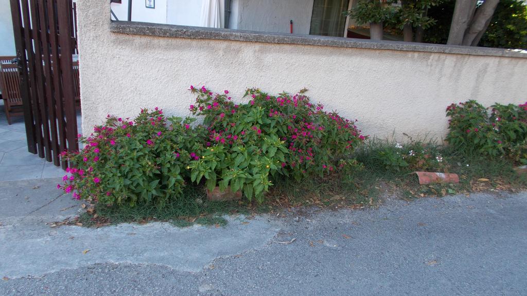 Guest House Accommodation Rupine بريمونتيرا المظهر الخارجي الصورة