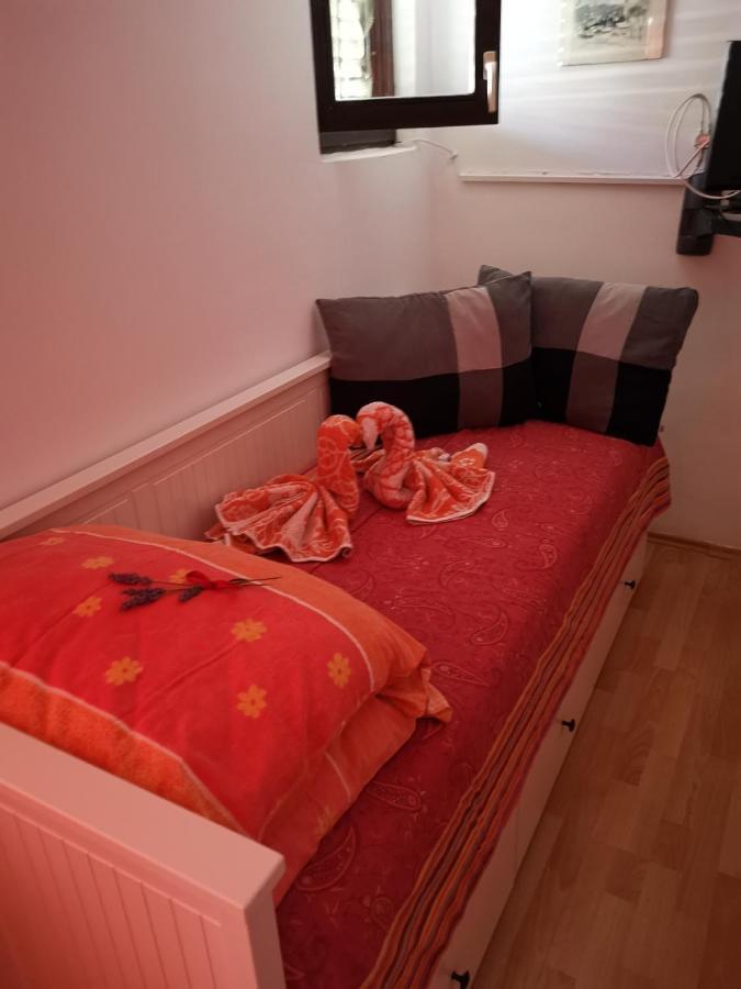Guest House Accommodation Rupine بريمونتيرا المظهر الخارجي الصورة