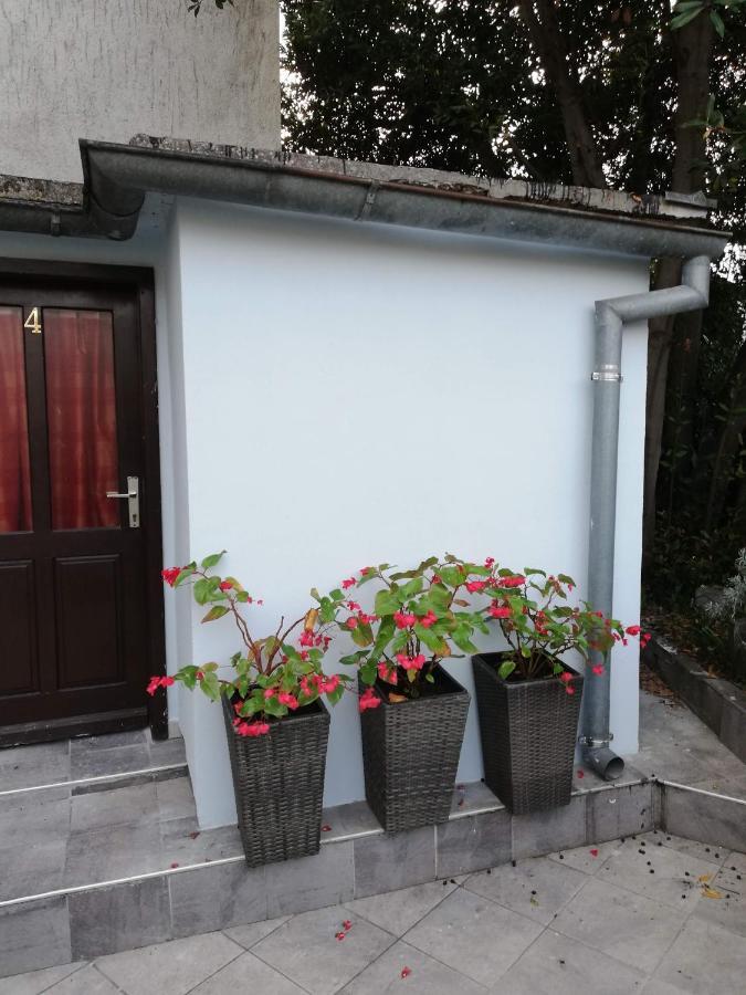 Guest House Accommodation Rupine بريمونتيرا المظهر الخارجي الصورة